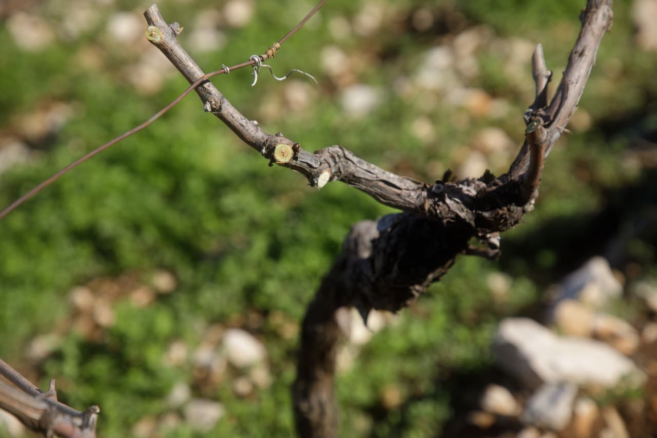 Between the Moon and the War